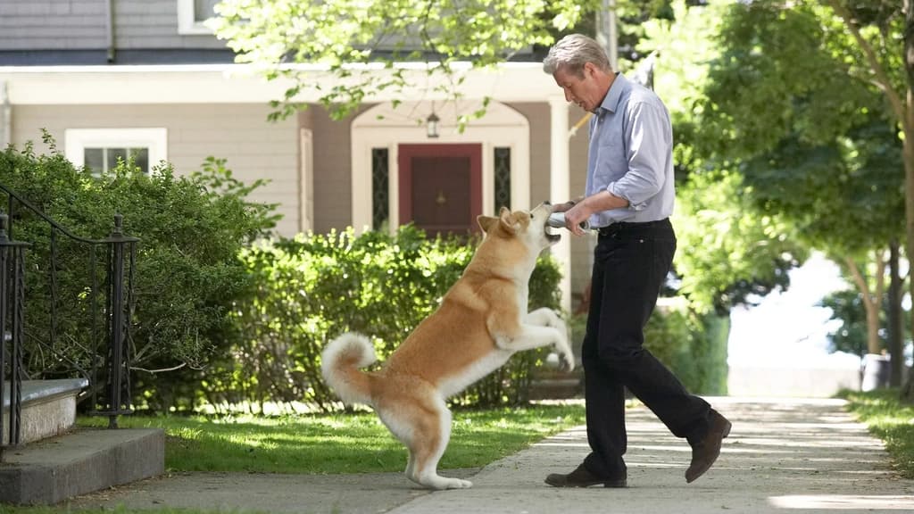 Miniaturka filmu Mój przyjaciel Hachiko