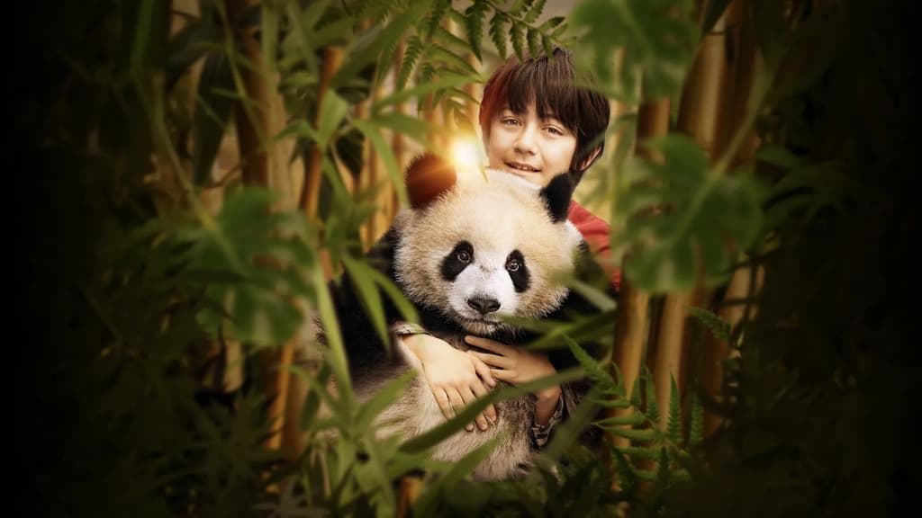 Miniaturka filmu Moon. Panda i ja
