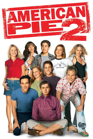 Plakat filmu American Pie 2