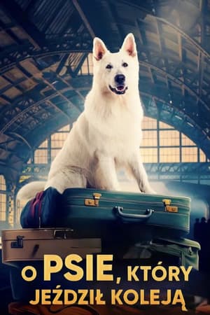 Plakat filmu O psie, który jeździł koleją