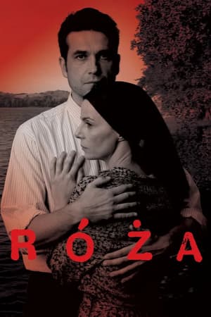 Plakat filmu Róża