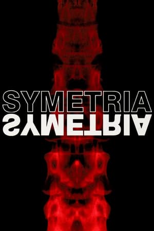 Plakat filmu Symetria