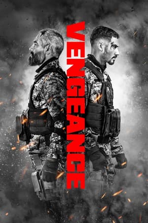 Plakat filmu Zemsta